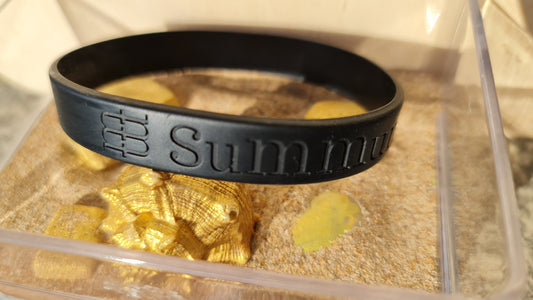 Pulsera de identificación de la comunidad Summum Life
